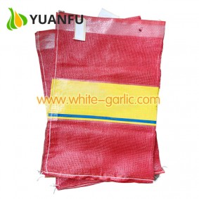 china garlic mesh bag