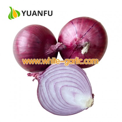 Fresh Red Onions