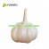 500gx20bags/carton White Garlic