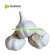 Chinese White Garlic Suppliers