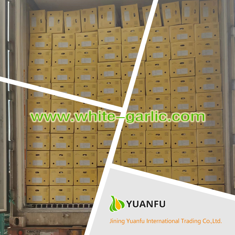 garlic suppliers garlic suppliers