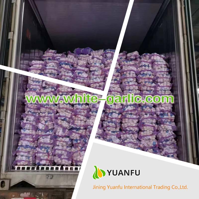 garlic sellers garlic sellers