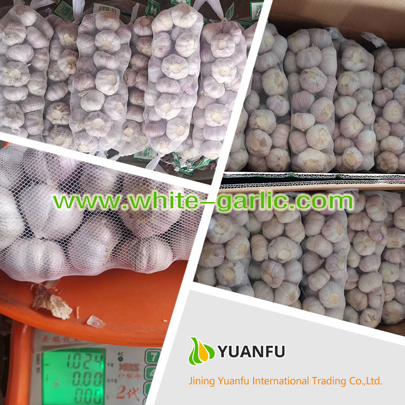 garlic sellers garlic sellers