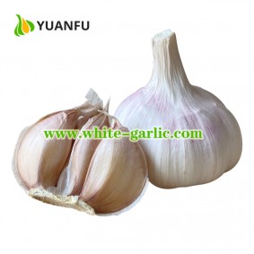 China White Garlic 250g/bag