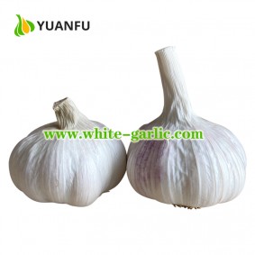 Chinese White Garlic 50g x 40bags/carton