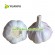 White Garlic 10kgs/mesh bag