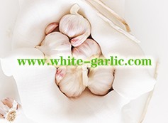 2020 New Crop Normal White Garlic