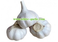 How Much is 1lb of Garlic?
