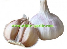 How much is garlic selling for?