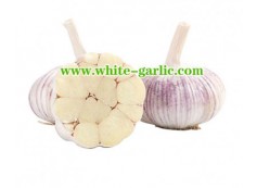 How do you properly use garlic?