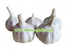 Recipes with garlic cloves