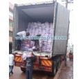 Ugandan customers are unloading garlic 20210225