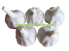 What does garlic cure in the body?