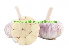 What is red garlic used for?