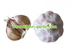Which situation can I not eat garlic?