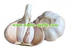 Do you know three categories of garlic based on color?